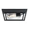 Westinghouse Fixture Ceiling Outdr Flush-Mount 60W 2-Light Peterson 12In Txt, Black Clear Glass 6121900 - alternate 1